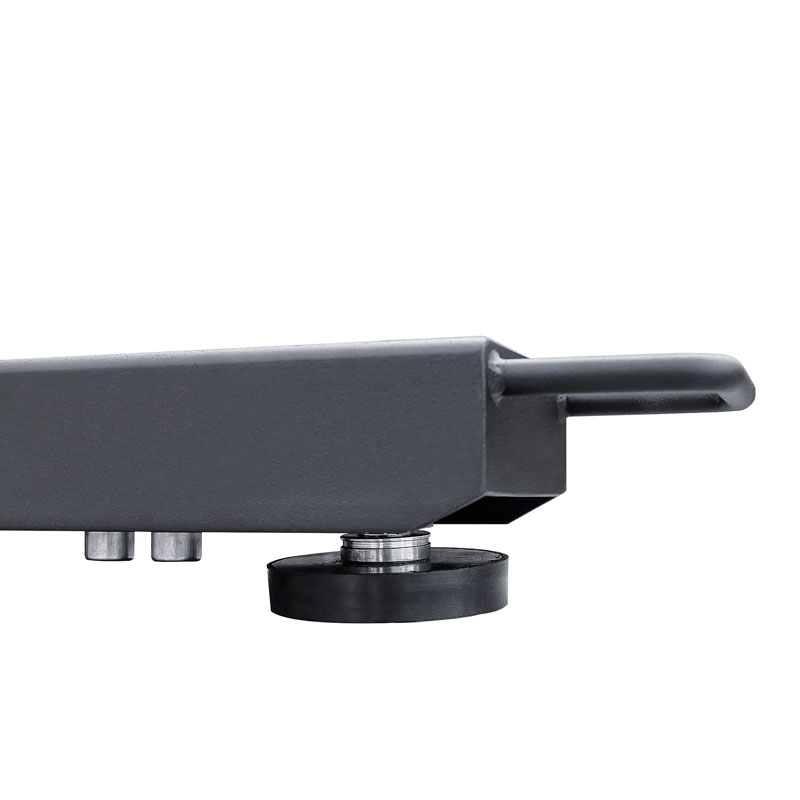 Balkenwaage C315.4P2.2000.C2