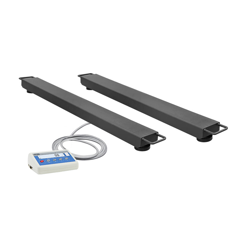 Balkenwaage C315.4P2.6000.C1