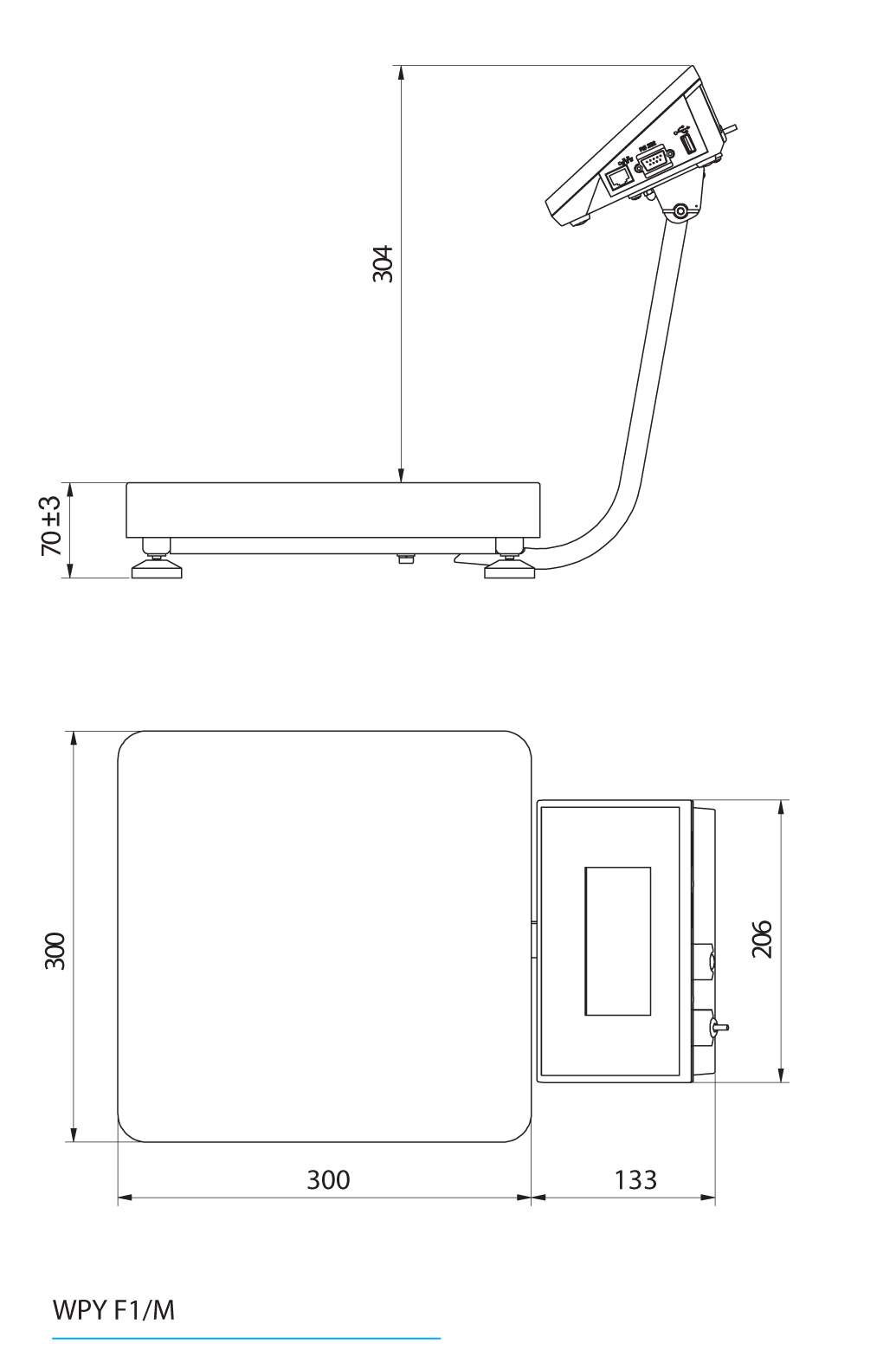 Multifunktionswaage WPY 6/F1