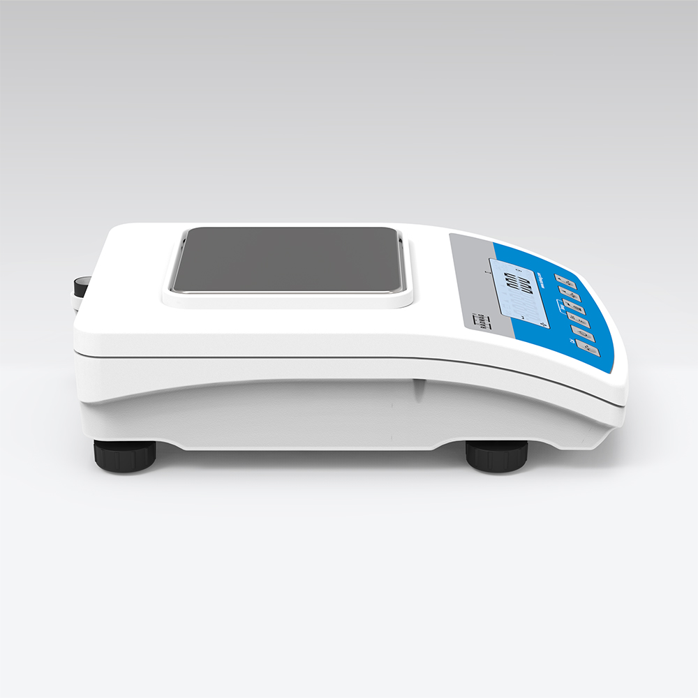 Präzisionswaage WLC 0,6/A1/C/2/IO