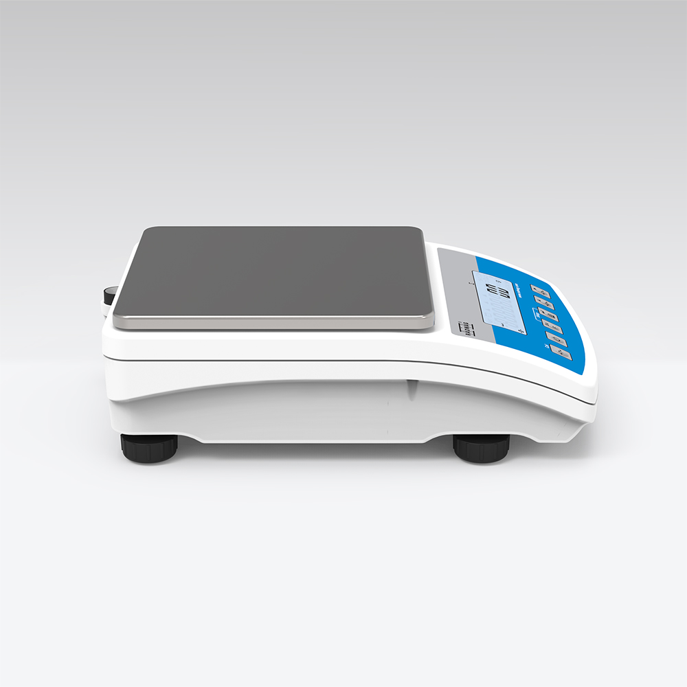 Präzisionswaage WLC 6/A2/C/2