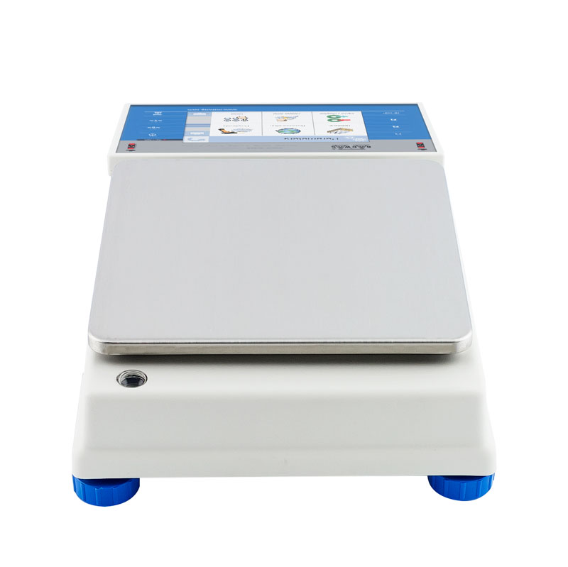 Präzisionswaage WLY 1/D2