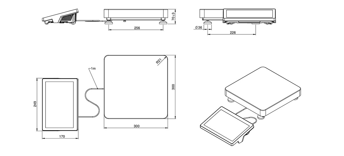 Waage CY10.6/12.F1.K.M2.FPVO